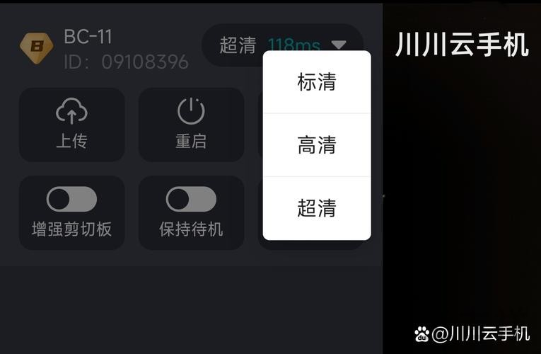 开云手机APP官方下载入口与安装指南